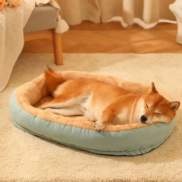 Canine Comforts