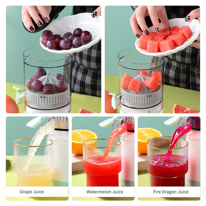 GoJuice Electric Juicer - Freshness on the Go!