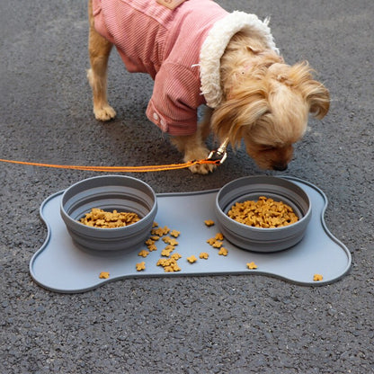 Collapsible Silicone Pet Bowl - Convenience and Comfort for Your Pets