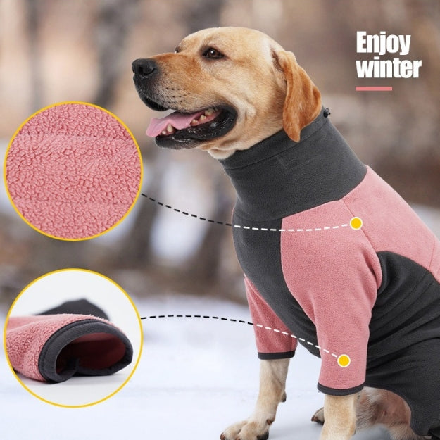 CozyPaws - Winter Warmth for Your Furry Friend!