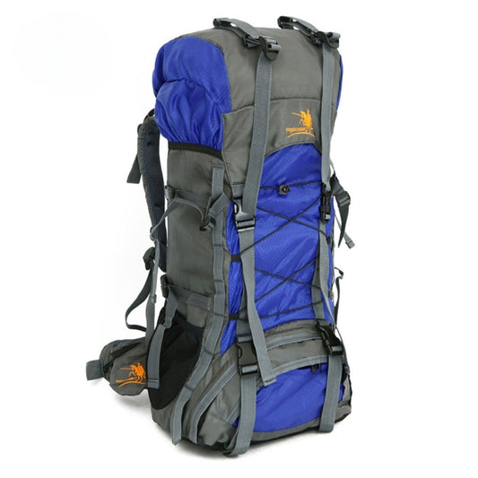 Wanderlust Whisperer: The Quantum Leap 60L Adventure Backpack!