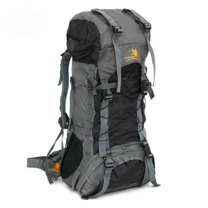 Wanderlust Whisperer: The Quantum Leap 60L Adventure Backpack!