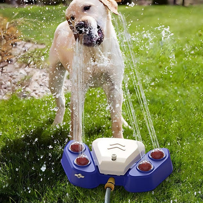 AquaSpritz - The Refreshing Oasis for Active Paws!