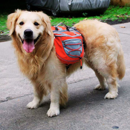 Pawsome Hiker - Confortable and Waterproof Backpack