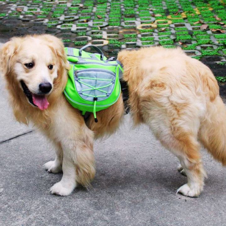 Pawsome Hiker - Confortable and Waterproof Backpack