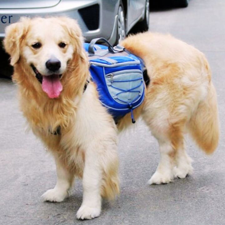 Pawsome Hiker - Confortable and Waterproof Backpack