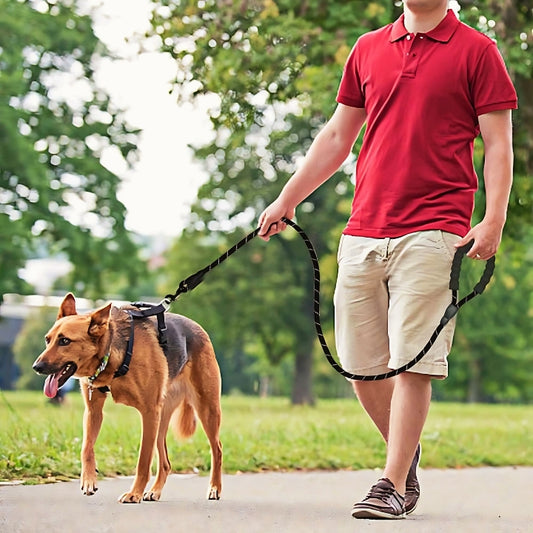 Reflective Dog Leash: Your Pup’s Adventure Sidekick!