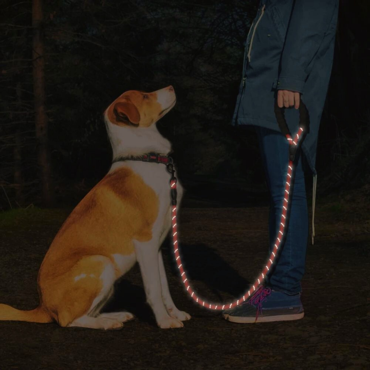 Reflective Dog Leash: Your Pup’s Adventure Sidekick!