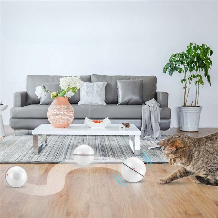 Glowing Whisker Chase: The USB Rechargeable Smart Pet Ball!