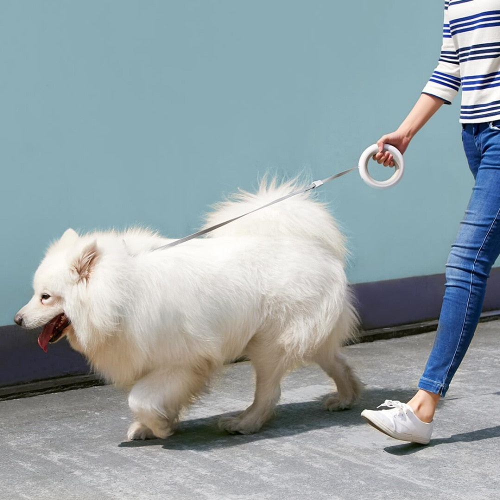 Glow & Go: Xiaomi Retractable LED Lighting Dog Leash (Light Walker)