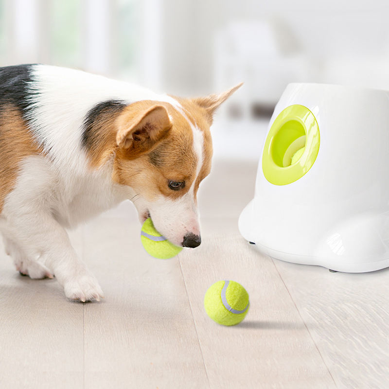 Fetch Frenzy - Dog Pet Automatic Interactive Ball Launcher