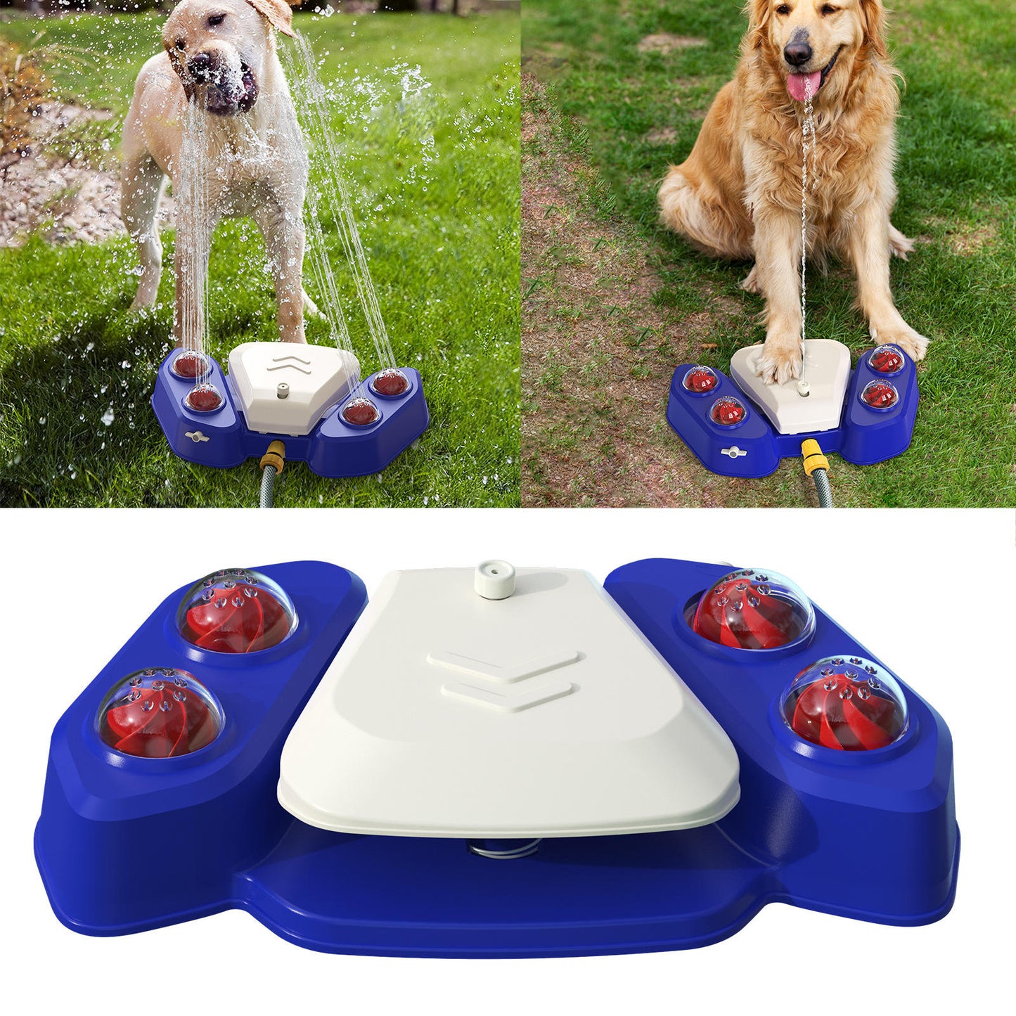 AquaSpritz - The Refreshing Oasis for Active Paws!