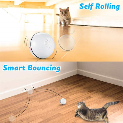 Glowing Whisker Chase: The USB Rechargeable Smart Pet Ball!