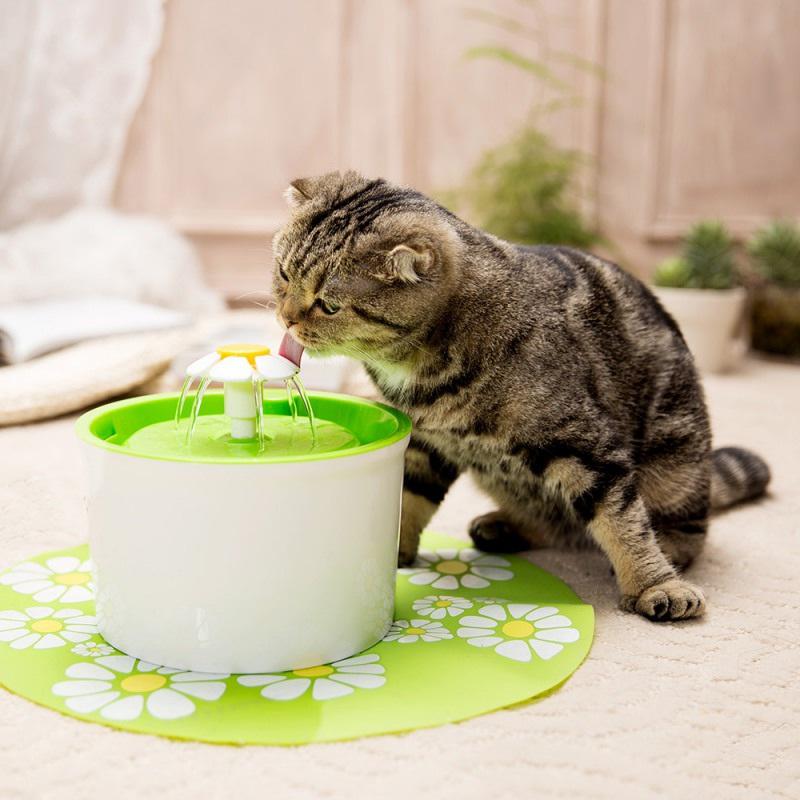 PetalFlow 1.6L - The Blossoming Oasis for Your Beloved Pets!