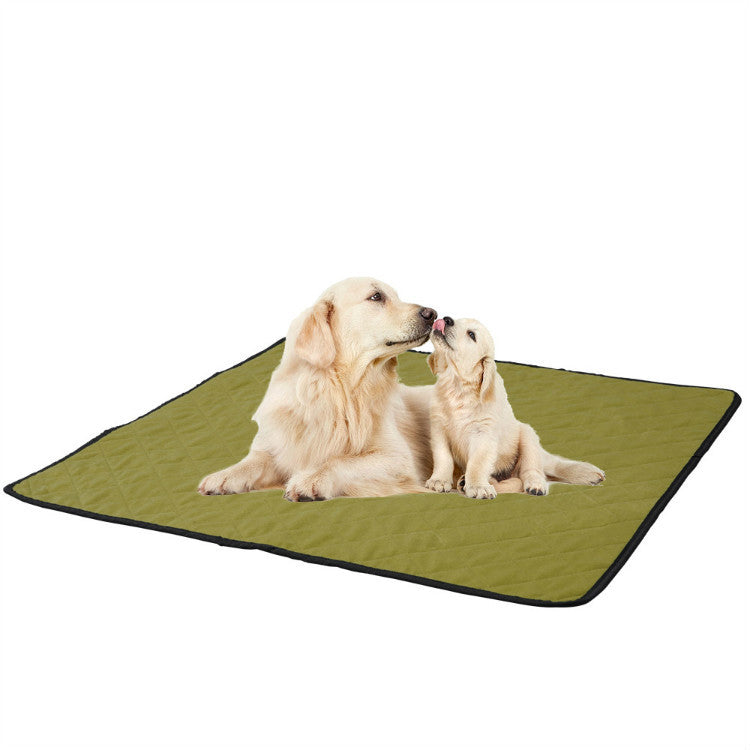 Dry Paws diaper pad: The Ultimate Reusable Pet Diaper Pad!