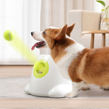 Fetch Frenzy - Dog Pet Automatic Interactive Ball Launcher