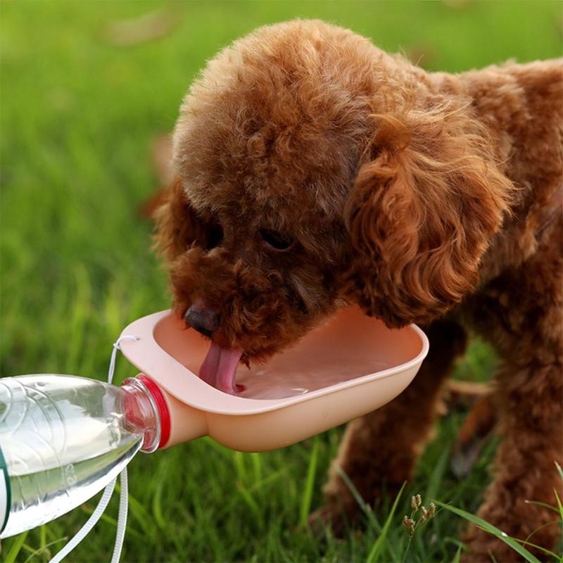 ThirstQuencher Pet Bottle - Hydration on the Go!