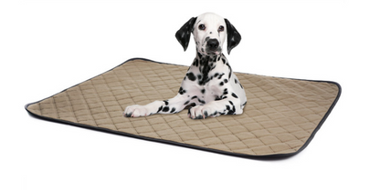 Dry Paws diaper pad: The Ultimate Reusable Pet Diaper Pad!