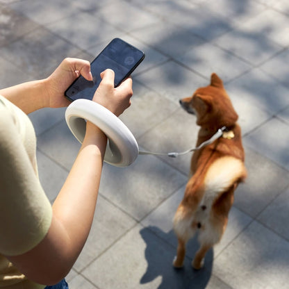 Glow & Go: Xiaomi Retractable LED Lighting Dog Leash (Light Walker)