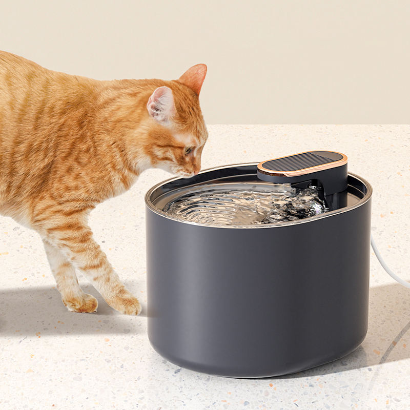 AquaGenius - The Smart Hydration Station for Your Pet!