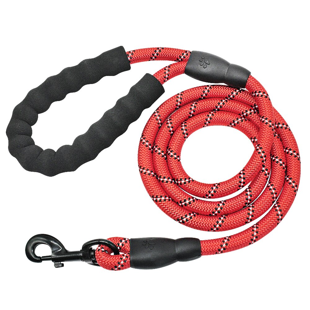 Reflective Dog Leash: Your Pup’s Adventure Sidekick!