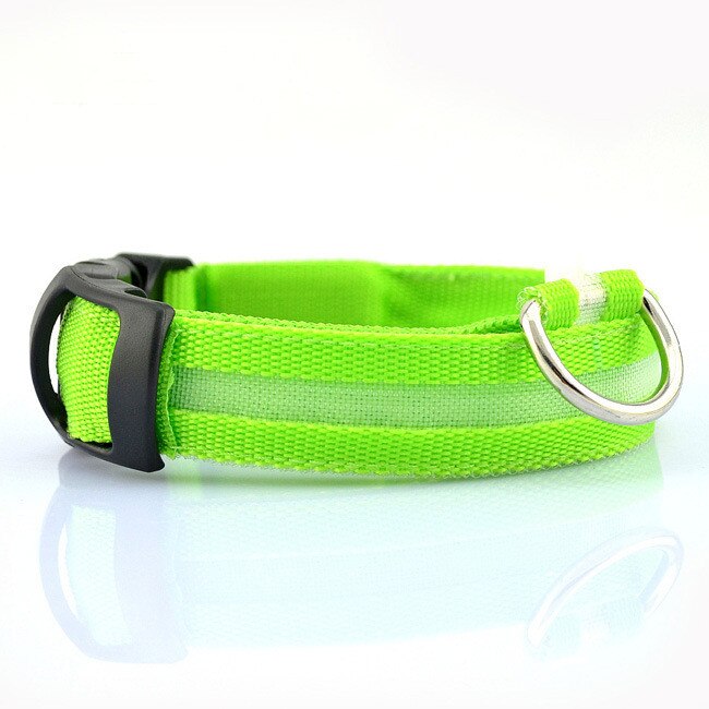 Luminous Leash: Illuminate Your Pup’s Nighttime Adventures!