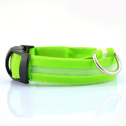 Luminous Leash: Illuminate Your Pup’s Nighttime Adventures!