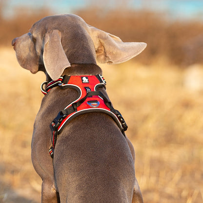 Truelove Dog Harness: Comfort, Safety, and Style!