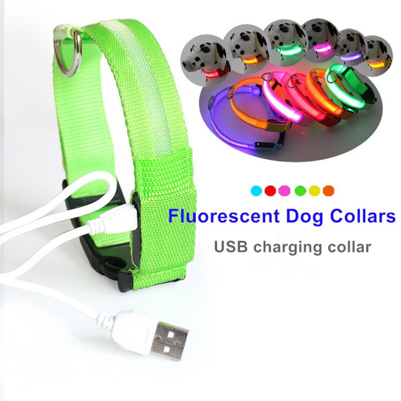 Luminous Leash: Illuminate Your Pup’s Nighttime Adventures!