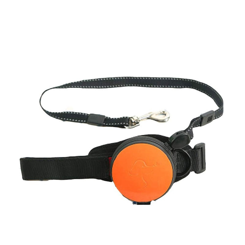 Wrist Retractable Dog Leash