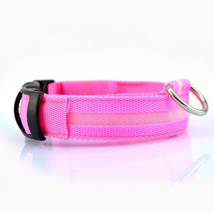 Luminous Leash: Illuminate Your Pup’s Nighttime Adventures!