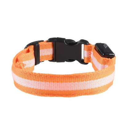 Luminous Leash: Illuminate Your Pup’s Nighttime Adventures!