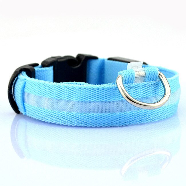 Luminous Leash: Illuminate Your Pup’s Nighttime Adventures!